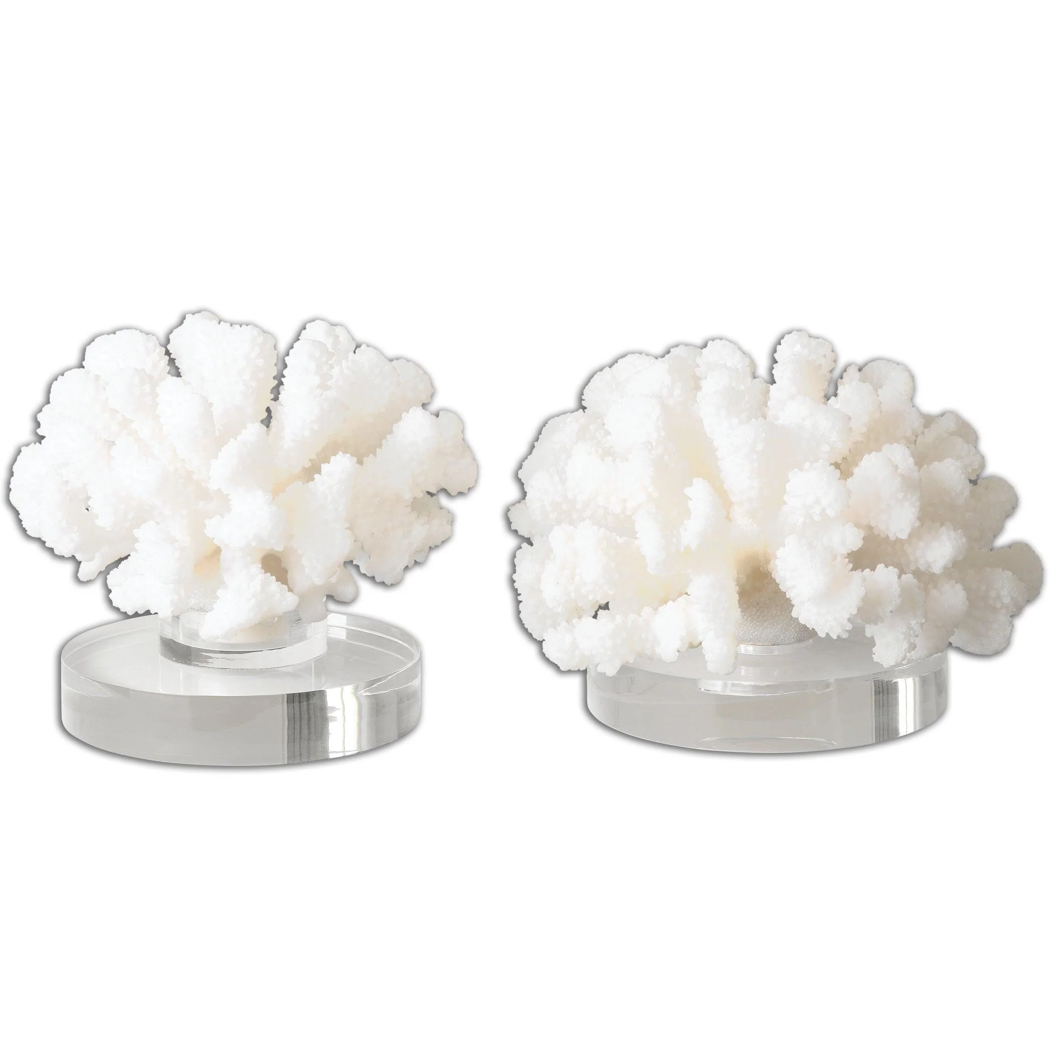 HARD CORAL SCULPTURES, SET OF 2 - Frankwebs