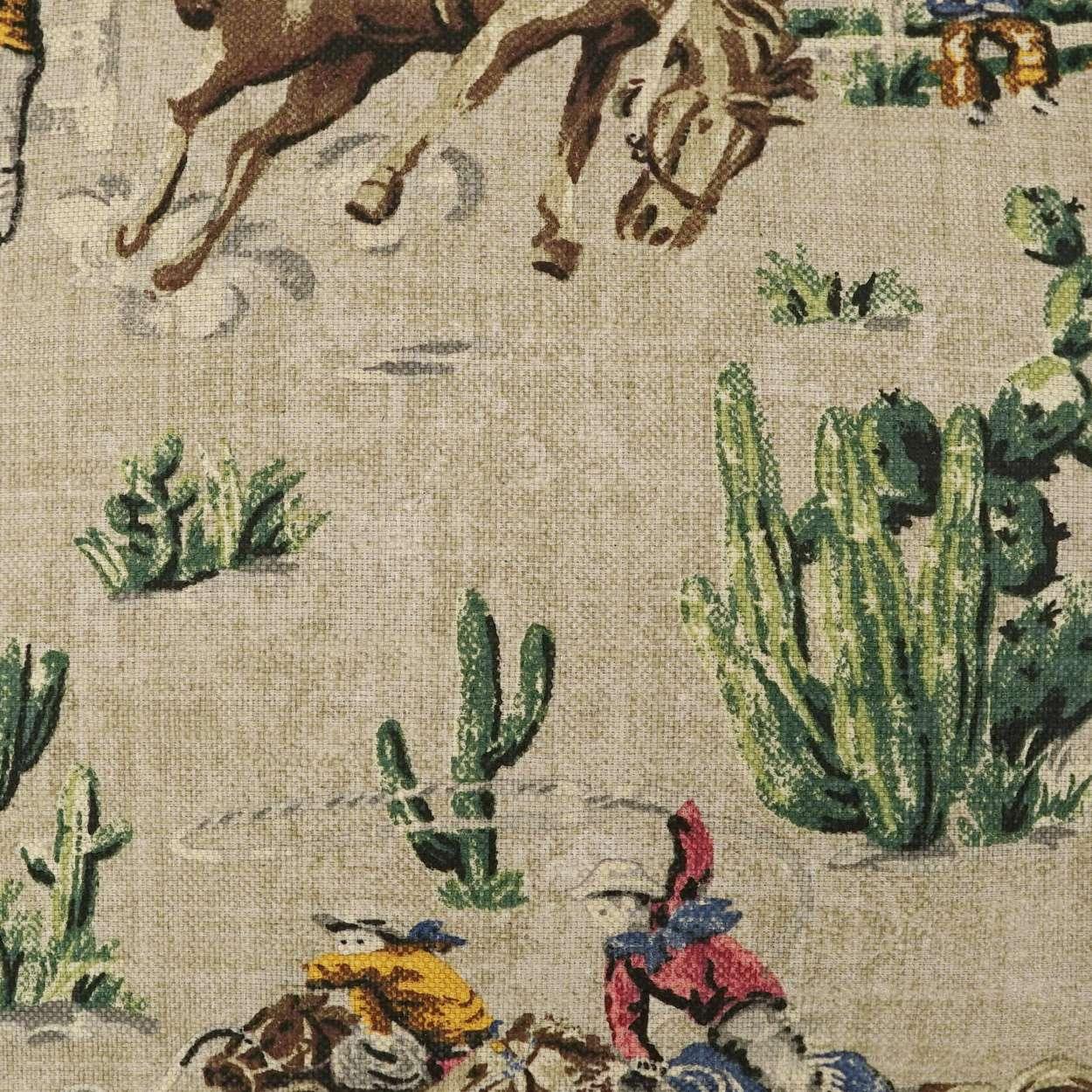 Dude Ranch Pillow - Frankwebs