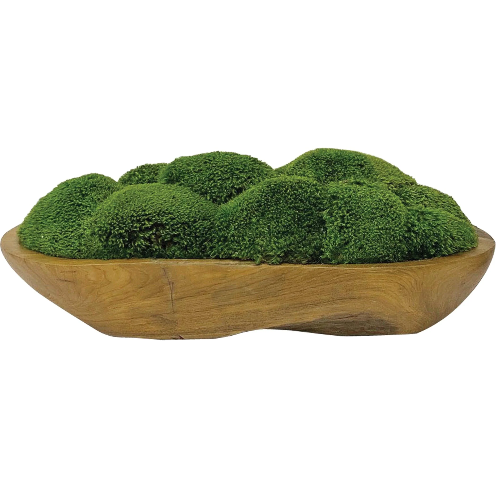 Kinsale Moss Centerpiece - Frankwebs