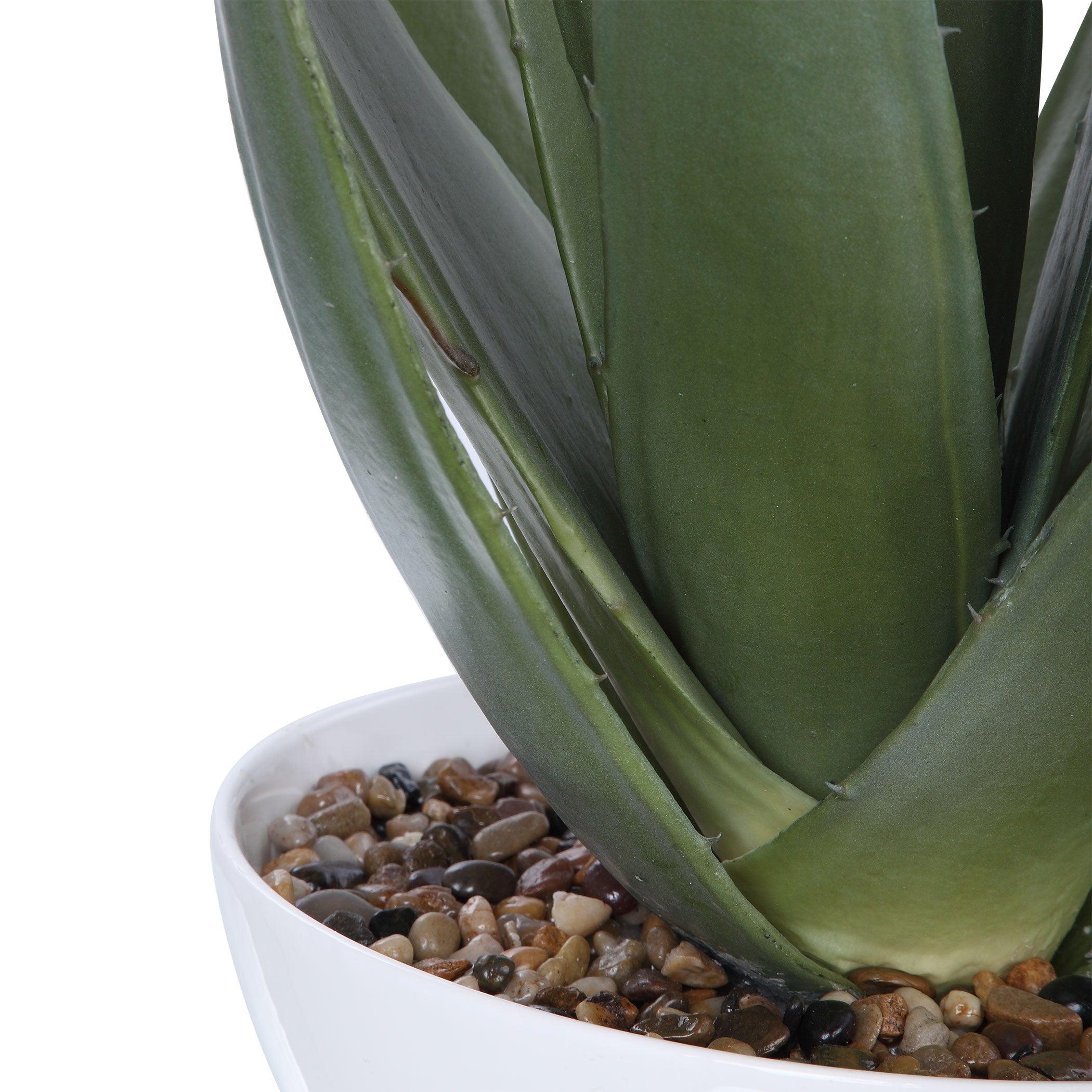 EVARADO ALOE PLANTER - Frankwebs