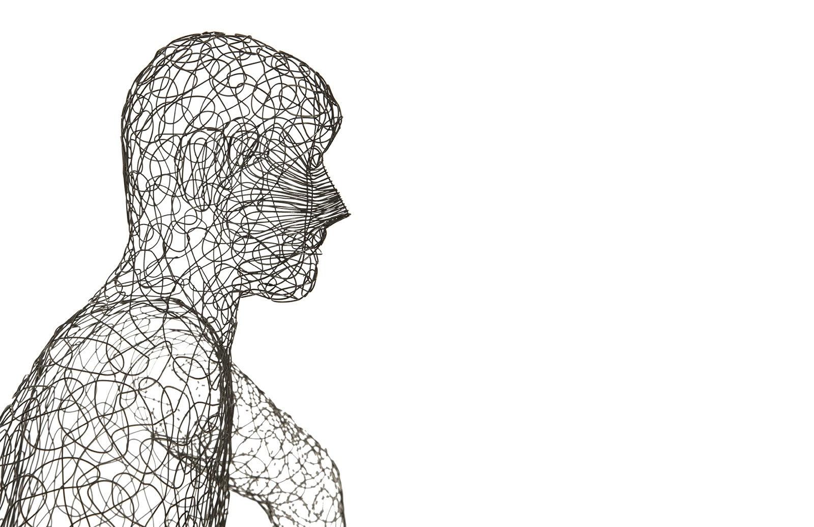 Crazy Wire Lounging Male - Frankwebs