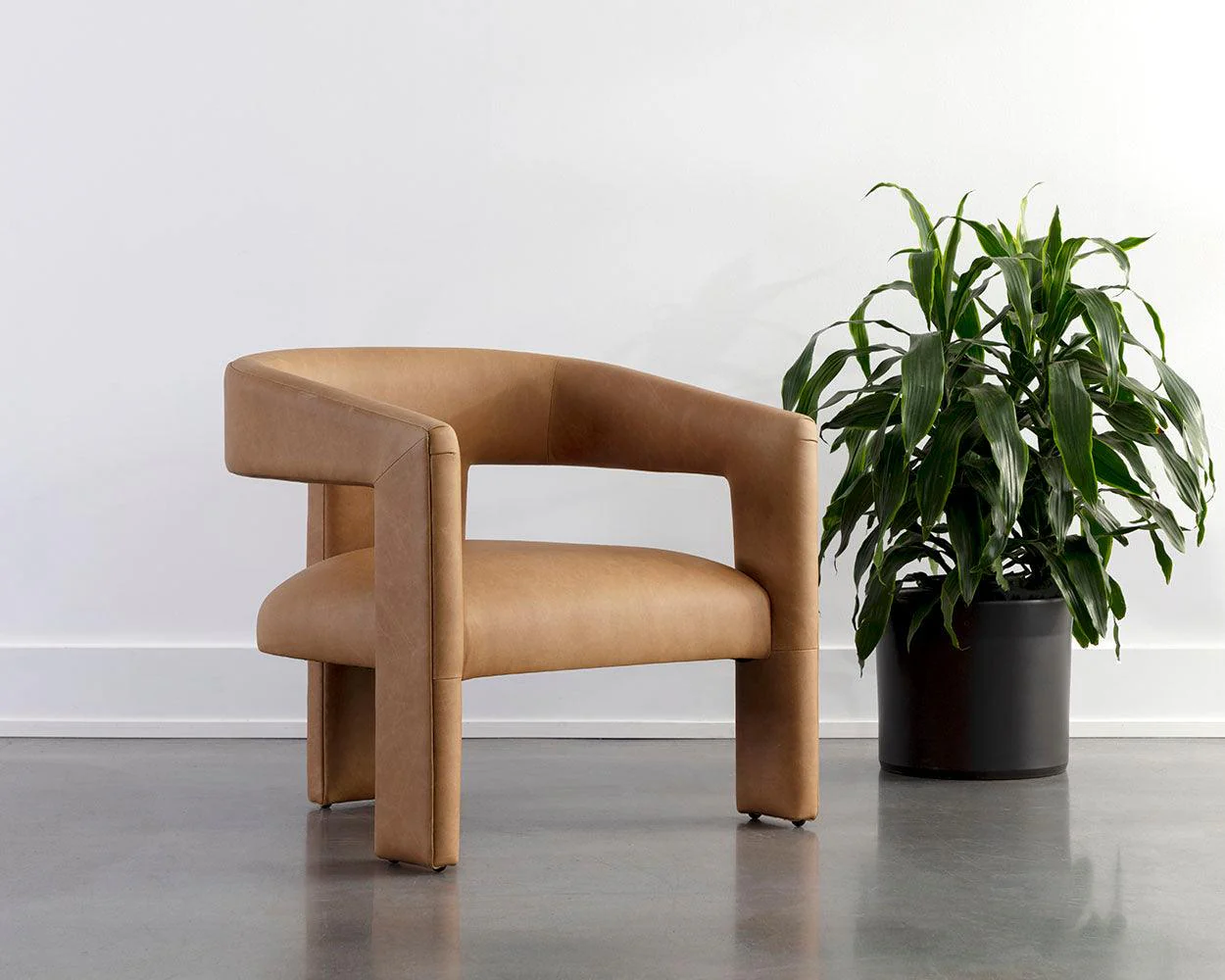 Cobourg Lounge Chair - Frankwebs