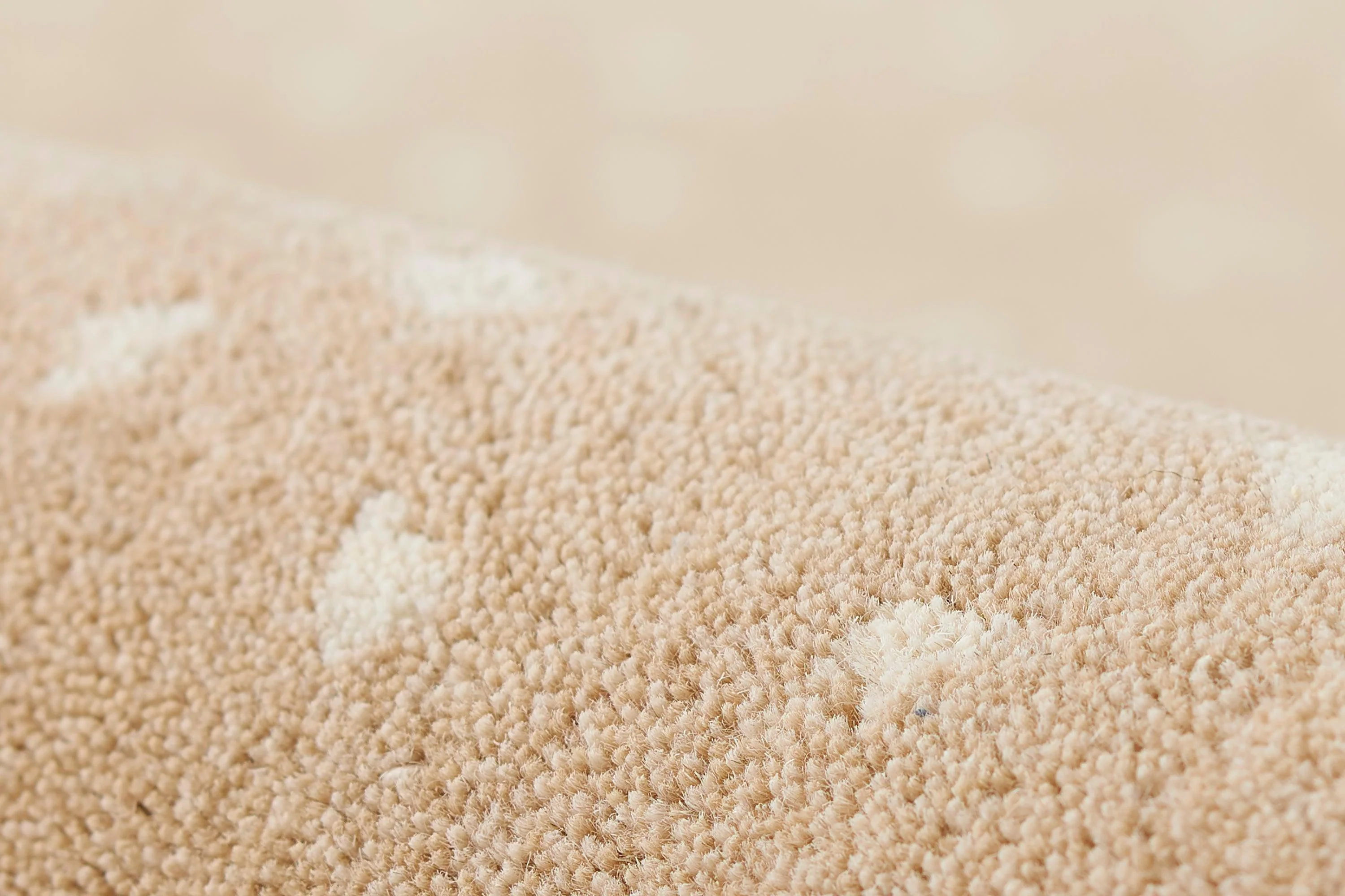 Erin Gates - Antelope - Frankwebs