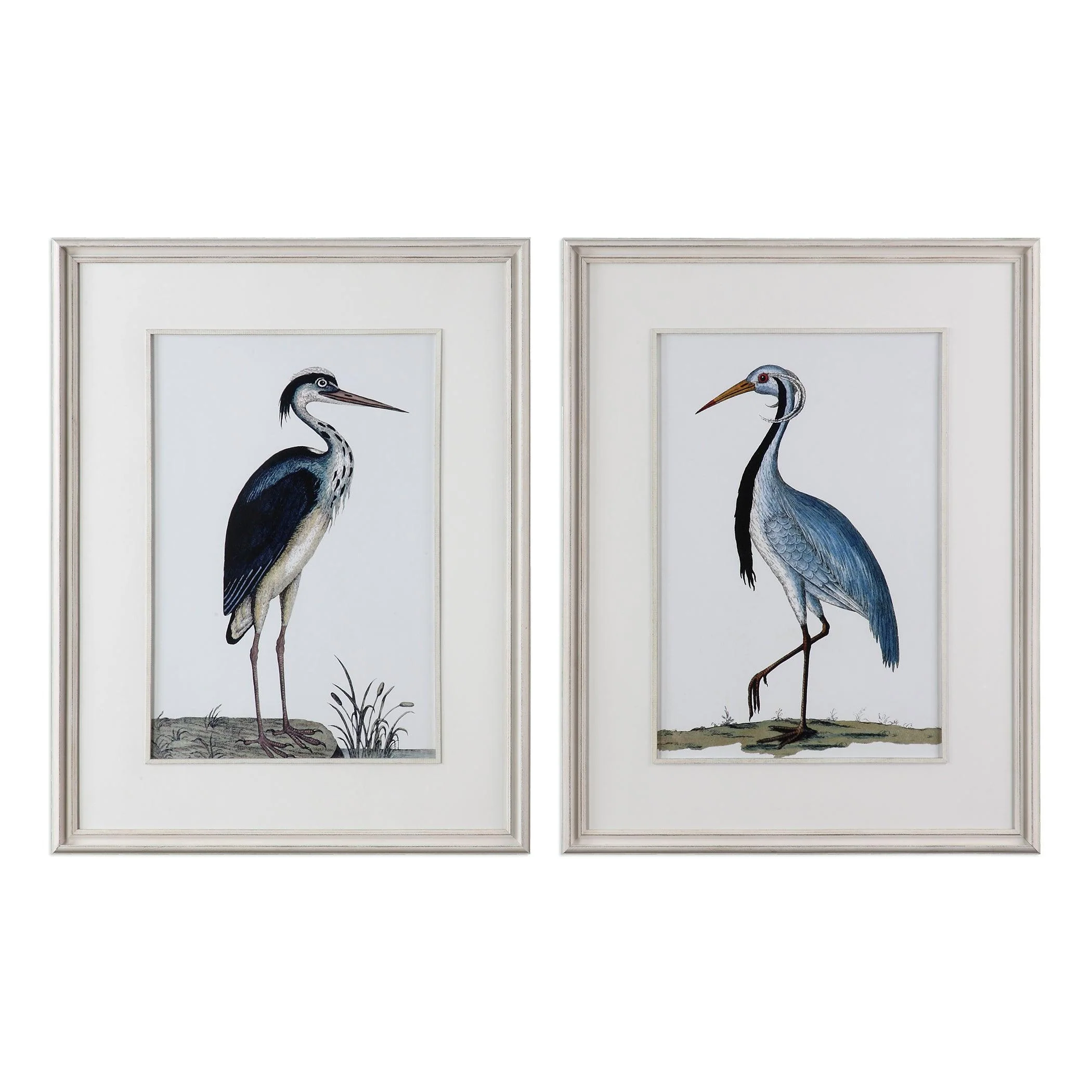 SHORE BIRDS FRAMED PRINTS SET OF 2 - Frankwebs