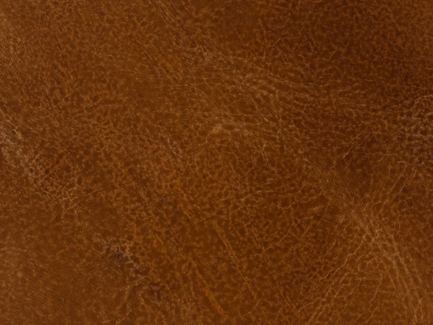 Jilian Club Chair - Frankwebs