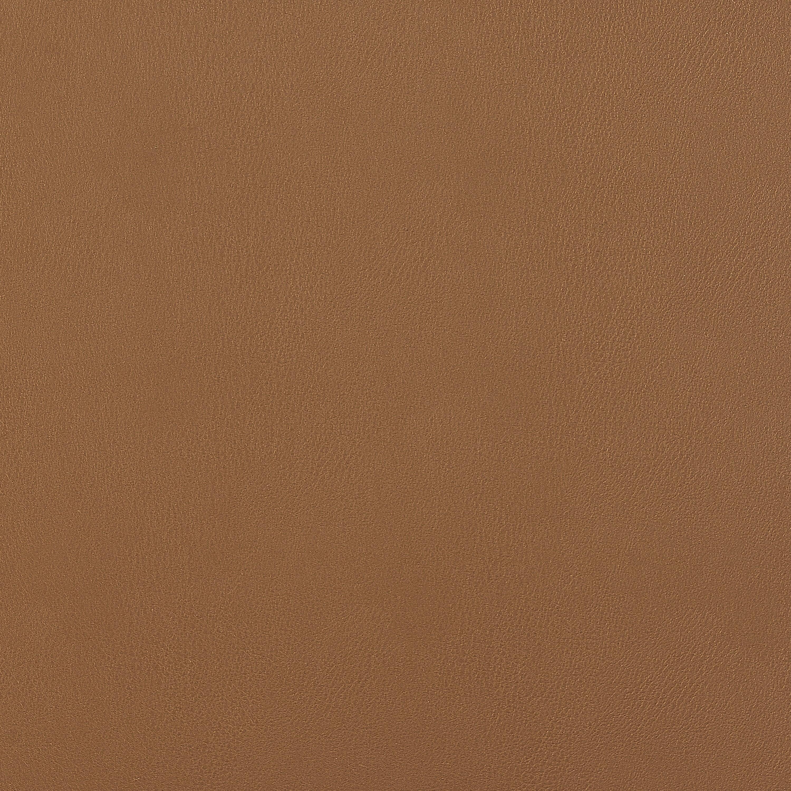 Gunther Side Chair - Set of 2 - Frankwebs