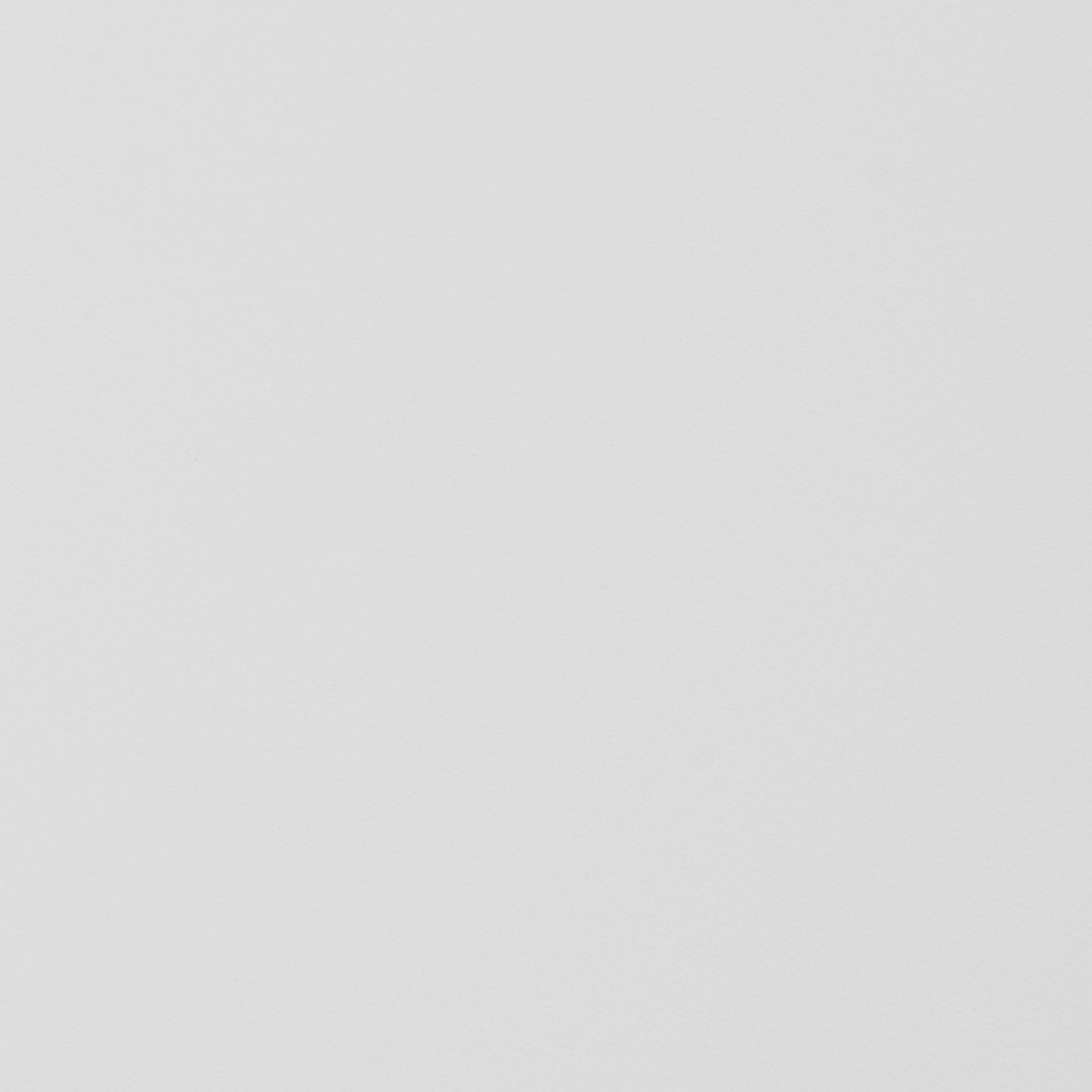 Lance Side Chair - Set of 2 - Frankwebs