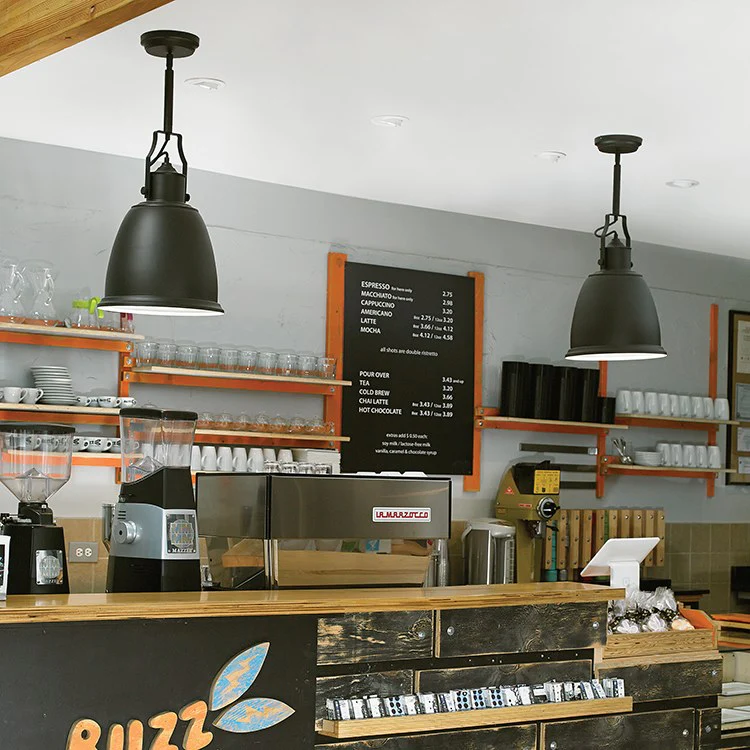 Hobson Single-Light Mini Pendant - Frankwebs