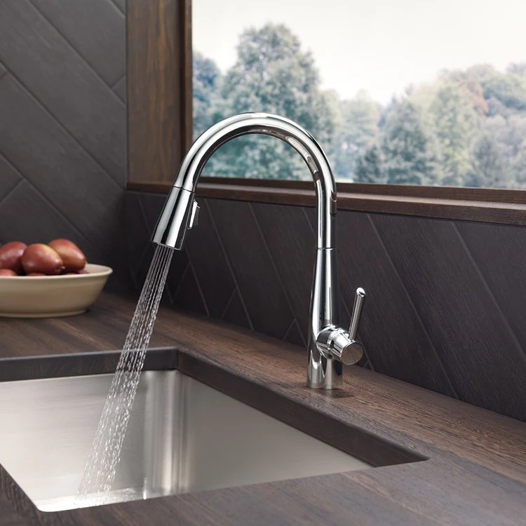 Essa Single Handle Pull Down Kitchen Faucet - Frankwebs