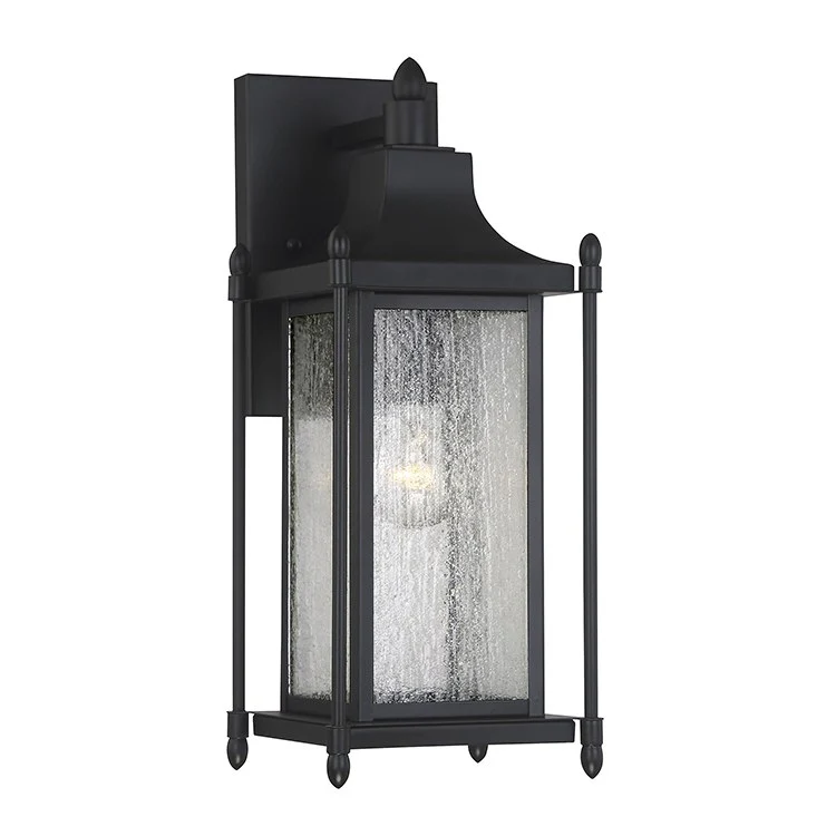 Dunnmore Single-Light Outdoor Wall Mount Lantern - Frankwebs
