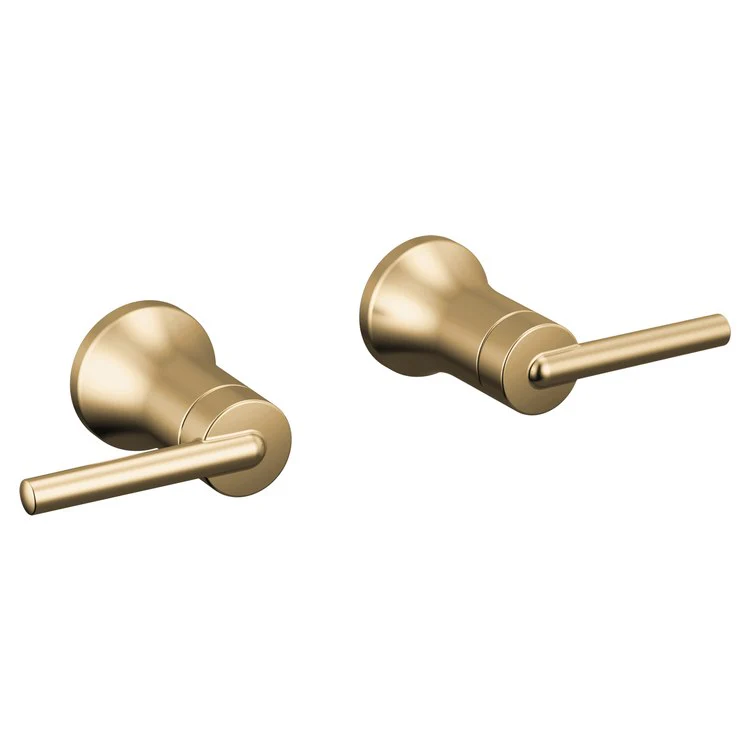 Handle Kit Trinsic Zinc 2 Lever Wall Mount Chrome ADA for Lavatory Faucet - Frankwebs