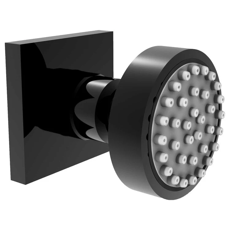 Body Spray Newport Bath Gloss Black 2-1/2 Inch Single Function 1.75 Gallons per Minute 1/2