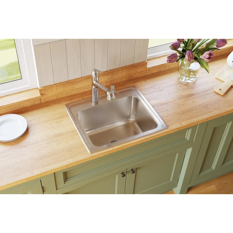 Kitchen Sink Lustertone Classic 22 x 19.5 Inch Single Bowl with Perfect Drain 2 Hole Lustrous Satin Drop-In - Frankwebs