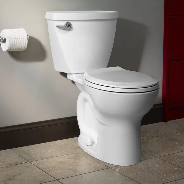 Transitional Slow-Close Round-Front Toilet Seat with Lid - Frankwebs