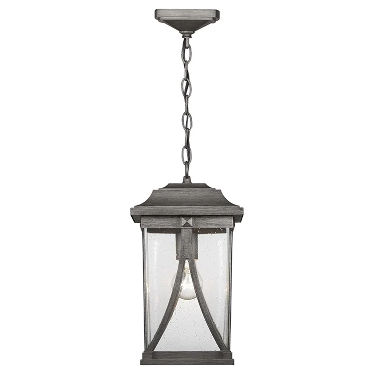 Abbott Single-Light Outdoor Hanging Lantern - Frankwebs