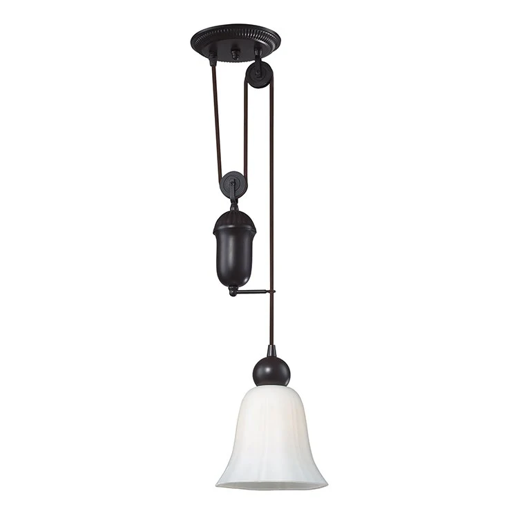 Farmhouse Single-Light Adjustable Pendant - Frankwebs