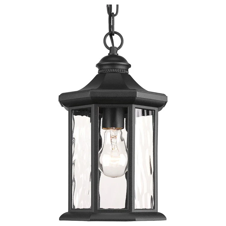 Edition Single-Light Hanging Lantern - Frankwebs