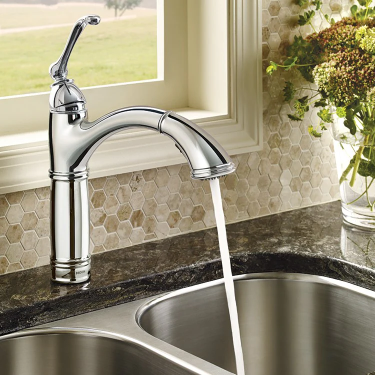 Brantford Single Handle High-Arc Pull Out Kitchen Faucet - Frankwebs