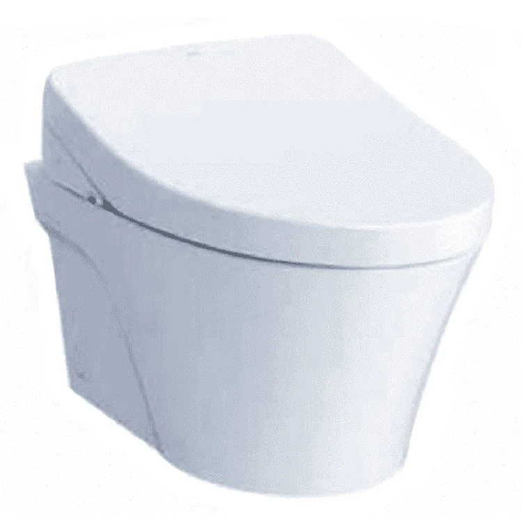 AP Wall-Mount Washlet-Ready Toilet Bowl Only - Frankwebs