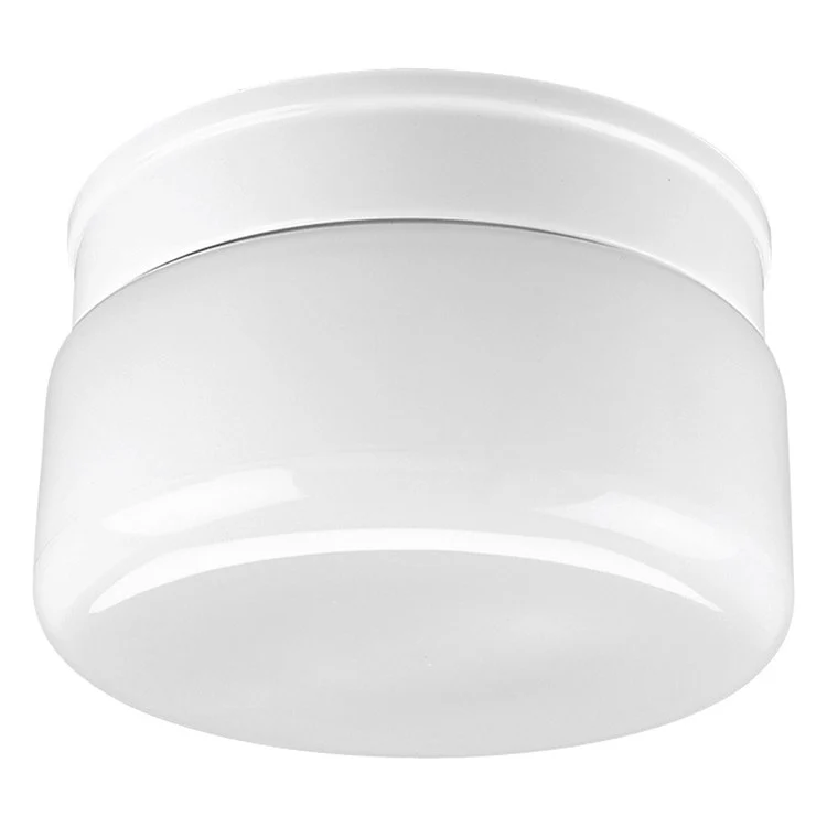AirPro Two-Light Flush Mount Ceiling Fixture - Frankwebs