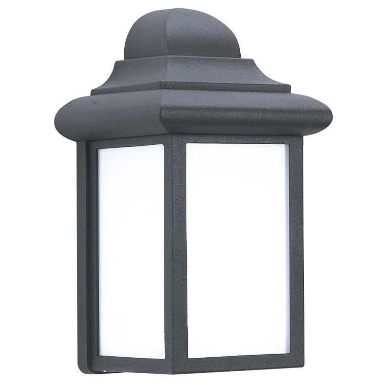 Mullberry Hill Single-Light Outdoor Wall Lantern - Frankwebs