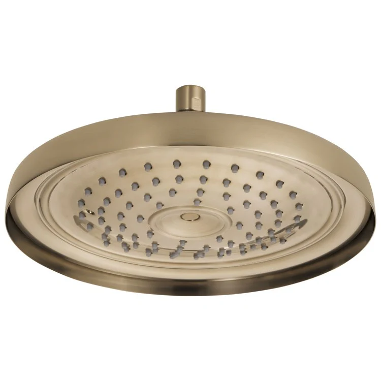 Traditional Ceiling Mount Raincan Shower Head - Frankwebs