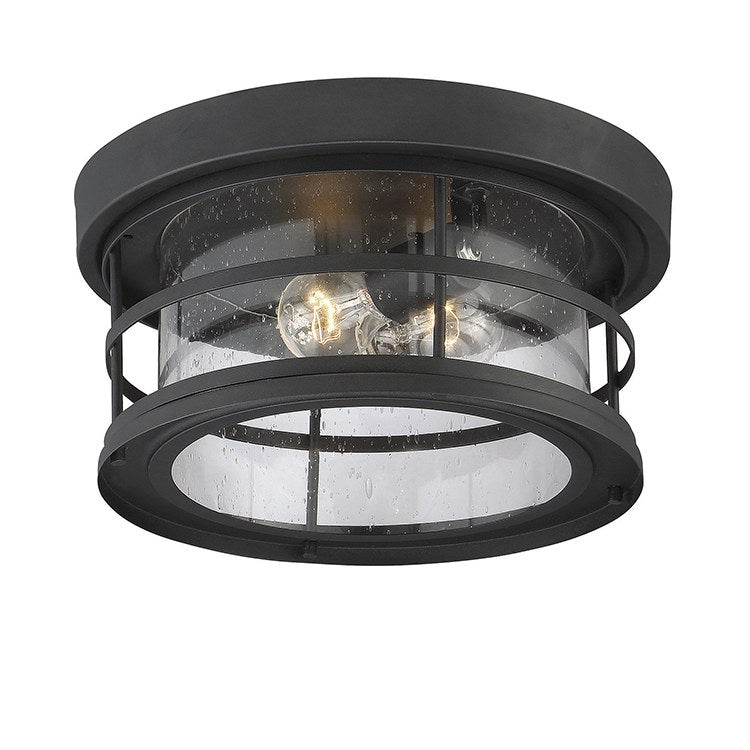 Barrett Two-Light Outdoor Flush Mount Ceiling Light - Frankwebs