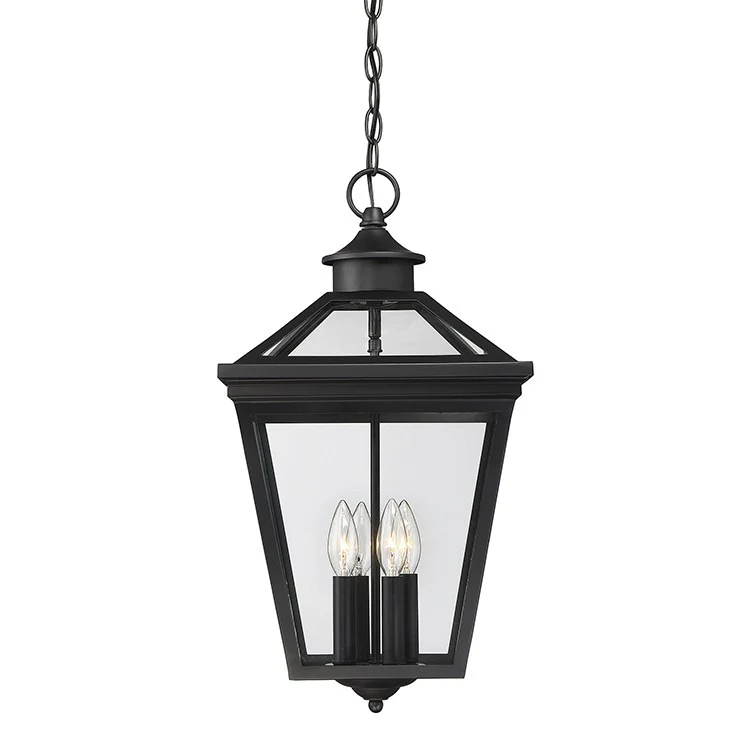 Ellijay Four-Light Outdoor Hanging Lantern - Frankwebs