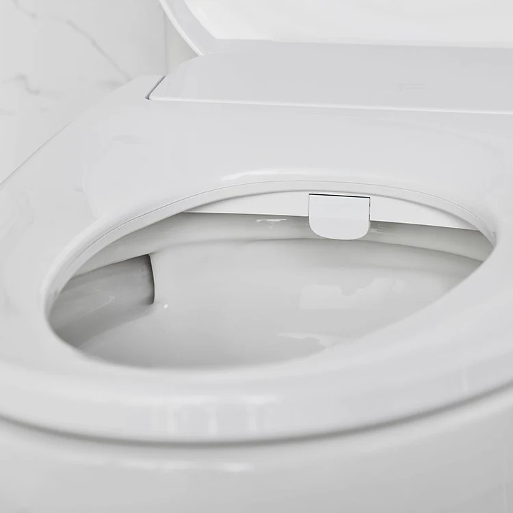 Aquawash 2.0 Manual SpaLet Bidet Seat - Frankwebs