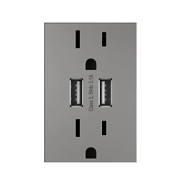 Receptacle adorne Dual USB Combo 15 Amps 120 Volt Magnesium - Frankwebs