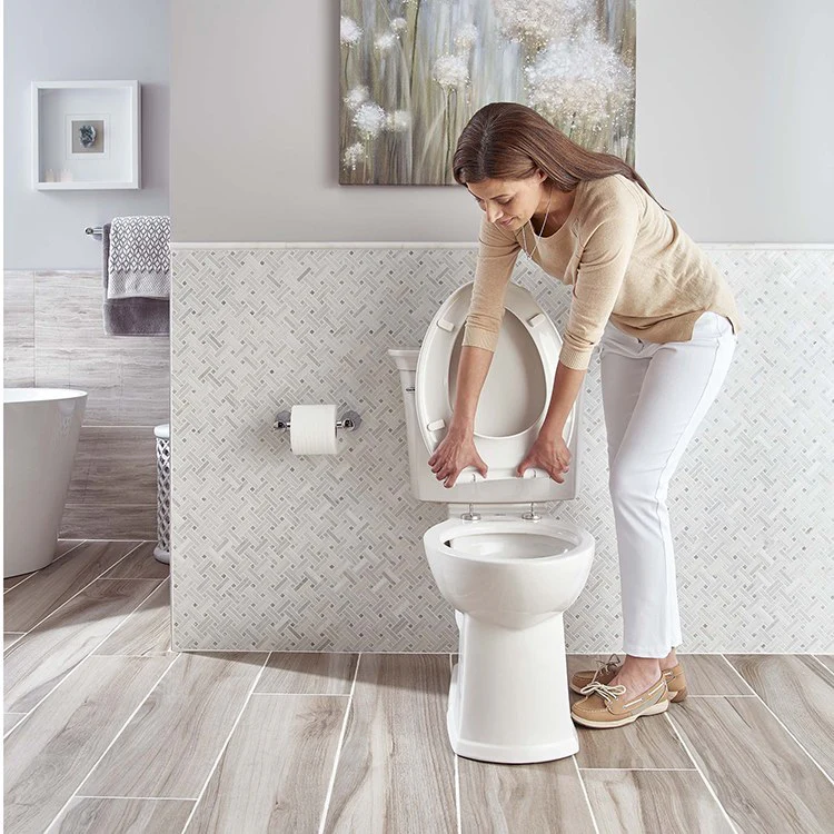 ActiClean Vormax Right Height Elongated Two-Piece Toilet with Seat/Lid - Frankwebs
