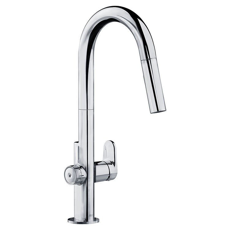 Beale MeasureFill Single Handle Pull-Down Kitchen Faucet - Frankwebs