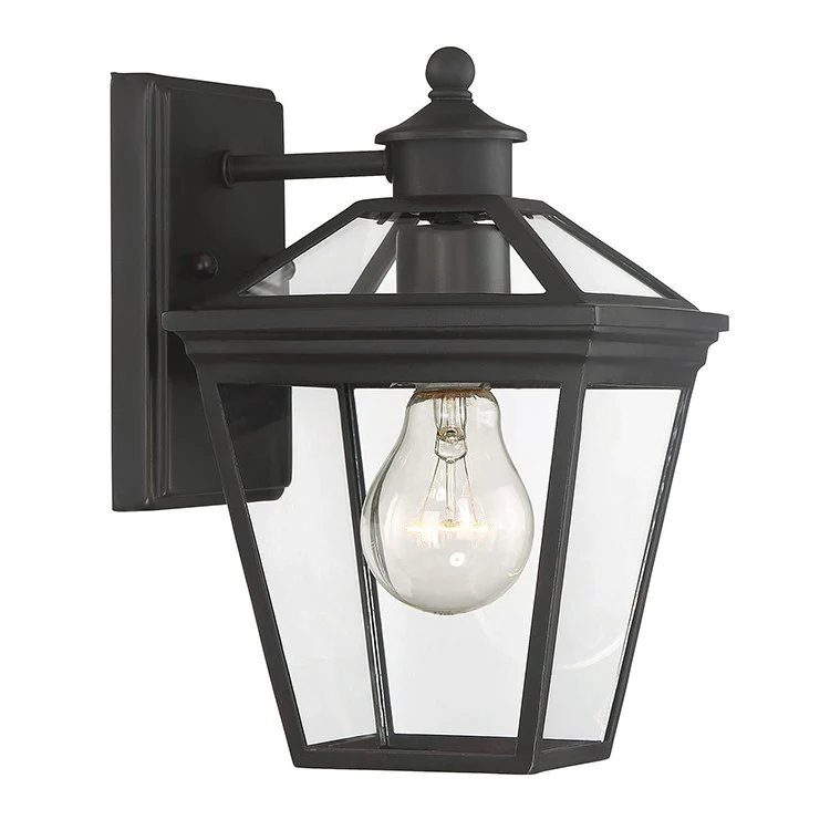 Ellijay Single-Light Outdoor Wall Mount Lantern - Frankwebs