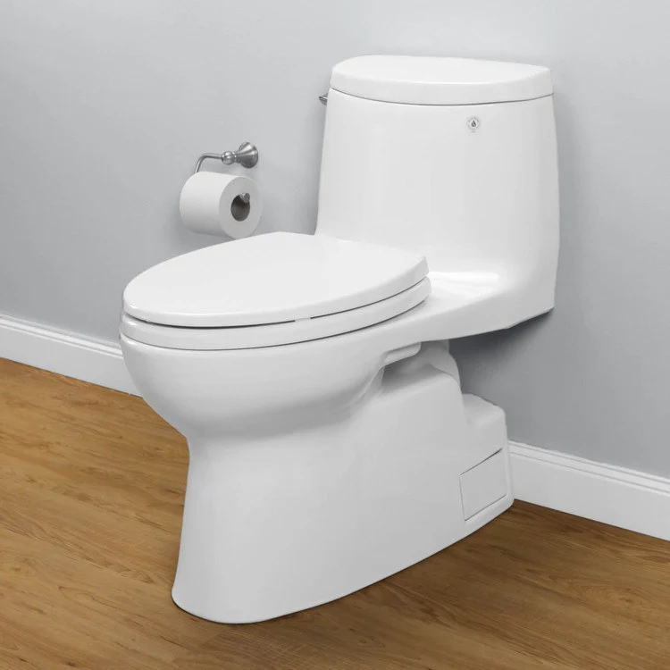 Carlyle II Elongated One-Piece High-Efficiency Toilet with Seat - Frankwebs