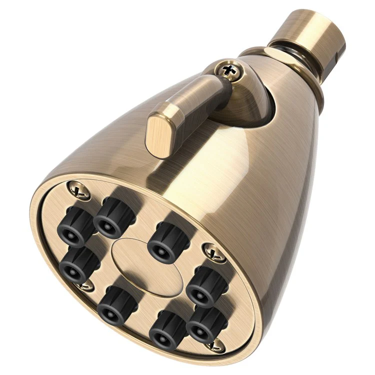 Single-Function Eight-Jet Showerhead - Aged Brass - Frankwebs