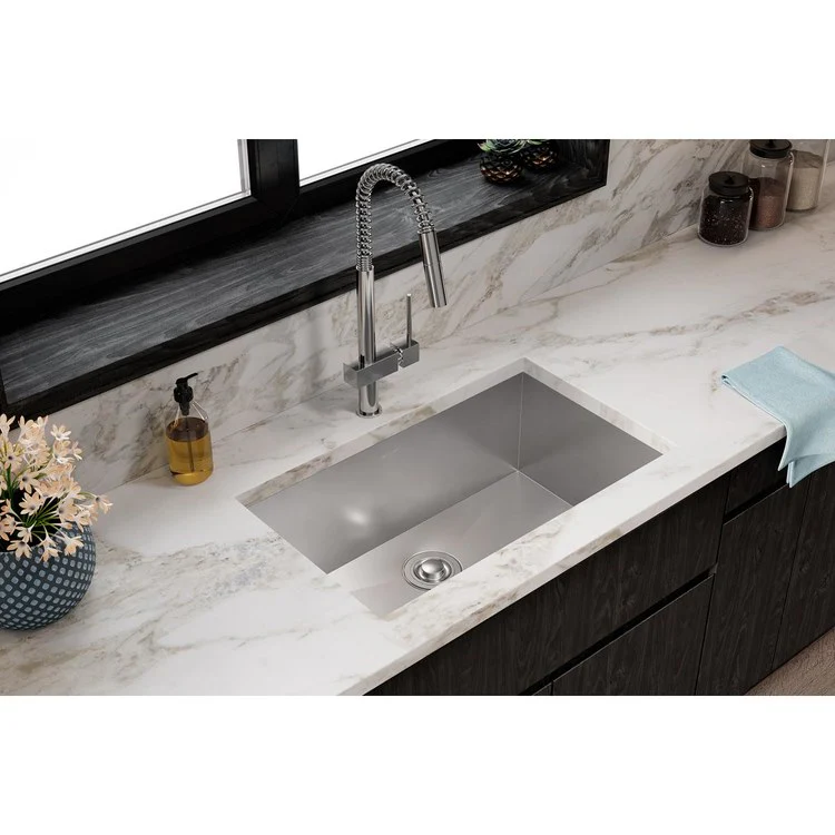 Kitchen Sink Crosstown 30.5 x 18.5 Inch Single Bowl Zero Radius Sink Features Tight Corners Polished Satin Undermount Drain Location Rear Center Includes 1000001404 Template - Frankwebs