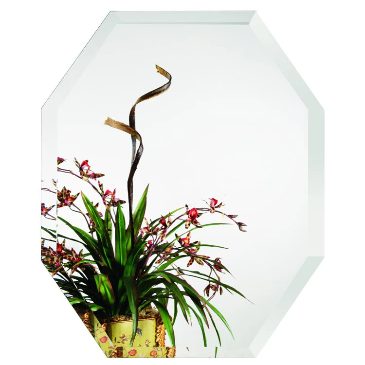 Mirror Transitional 21-1/4 x 28-3/4 Inch Octagon - Frankwebs