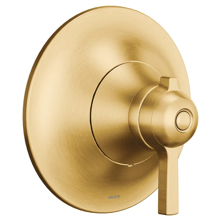 Valve Trim Flara 3/4IN Thermostatic 1 Lever Brushed Nickel ADA - Frankwebs