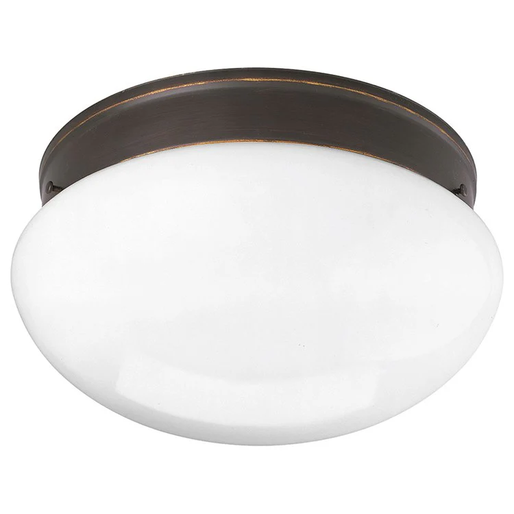 Two-Light Flush Mount Ceiling Light - Frankwebs