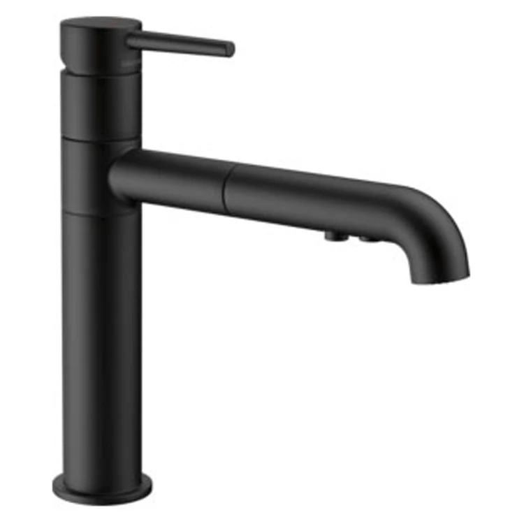Trinsic Single Handle Pull Out Kitchen Faucet - Frankwebs