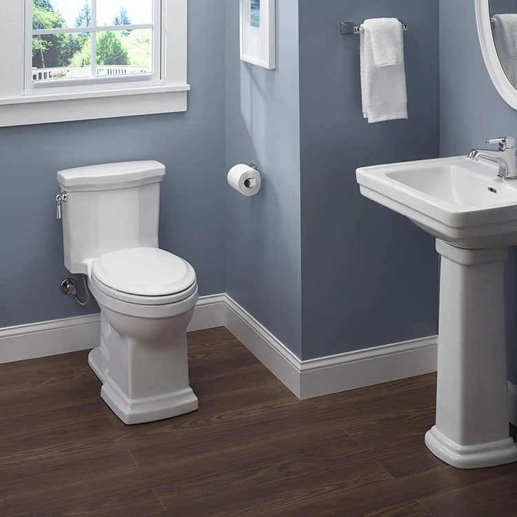 Promenade II 1G One-Piece High-Efficiency Elongated Toilet - Frankwebs