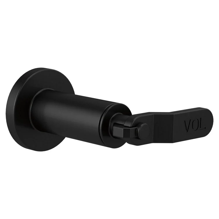 Volume Control Trim Litze Sensori 1 Industrial Lever Matte Black ADA - Frankwebs