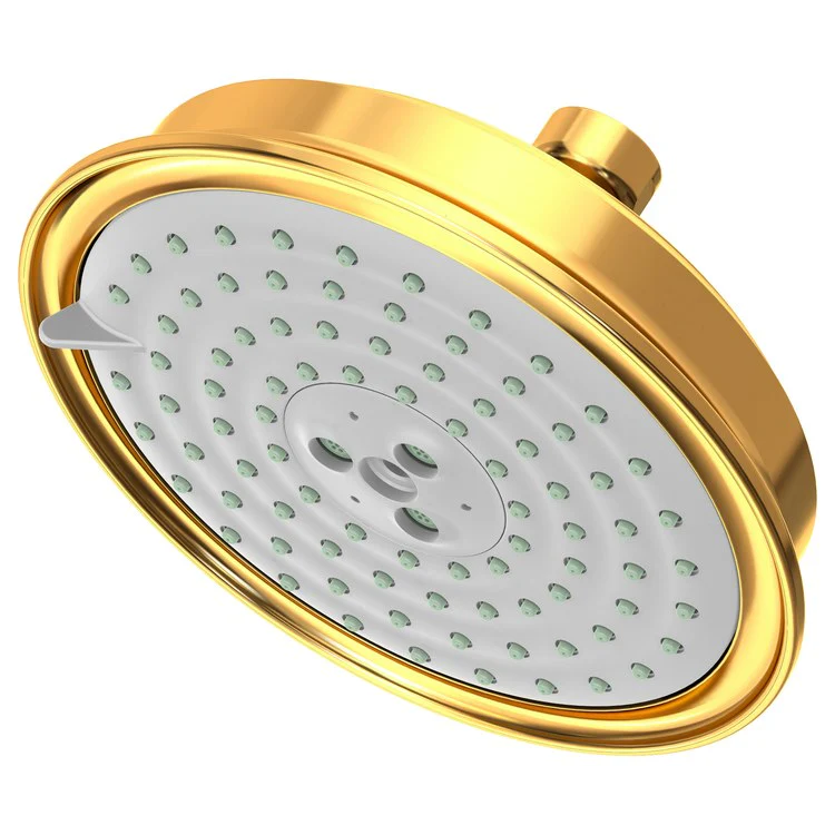 Traditional Five-Function Shower Head - Frankwebs