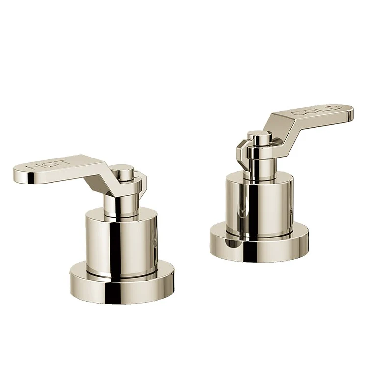 Handle Kit Litze Zinc 2 Industrial Lever Brilliance Luxe Steel ADA for Roman Tub - Frankwebs