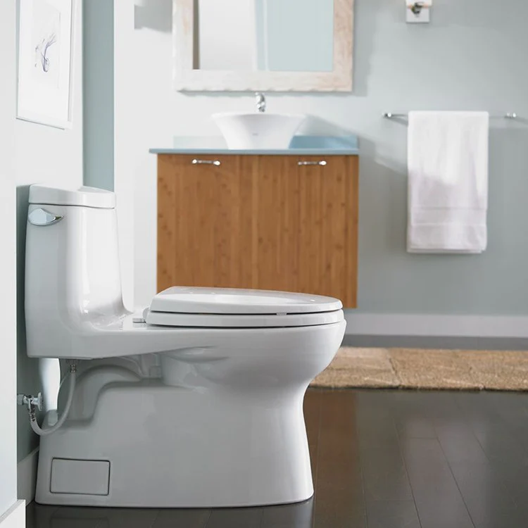 Carlyle II Elongated One-Piece High-Efficiency Toilet with Seat - Frankwebs