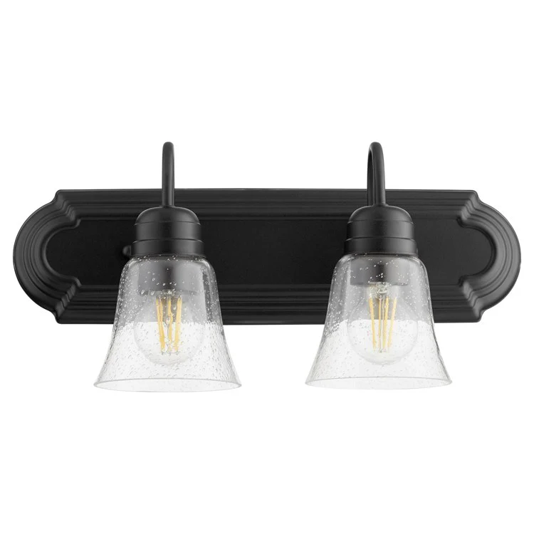 Traditional Two-Light Bathroom Vanity Fixture with Clear Seeded Glass Shades - Frankwebs