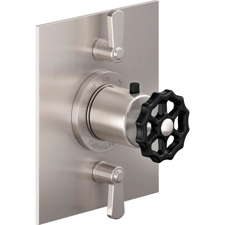 Thermostatic Trim Descanso Works Rectangular Flat StyleTherm with 2 Volume Control 3 Black Wheel/Lever Matte White Brass - Frankwebs