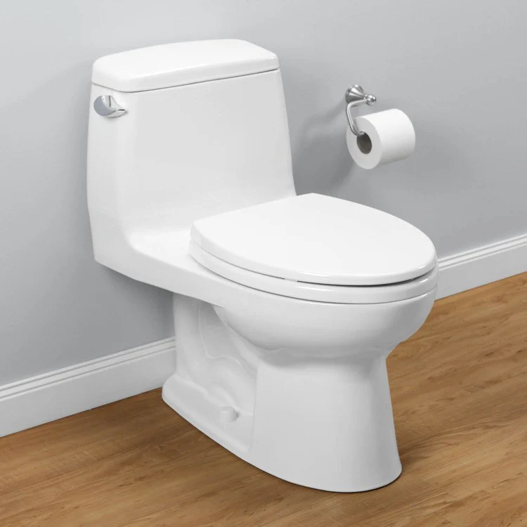 Eco UltraMax Elongated One-Piece Toilet with SoftClose Seat - Frankwebs