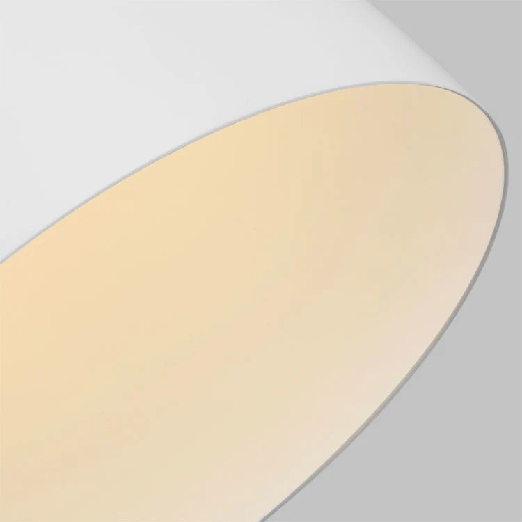 Darwin Single-Light Medium Pendant by Ellen - Frankwebs