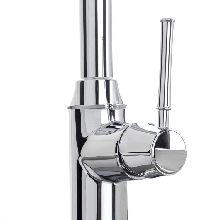 Talis C Single Handle Pull Down Kitchen Faucet with Dual Spray - Frankwebs